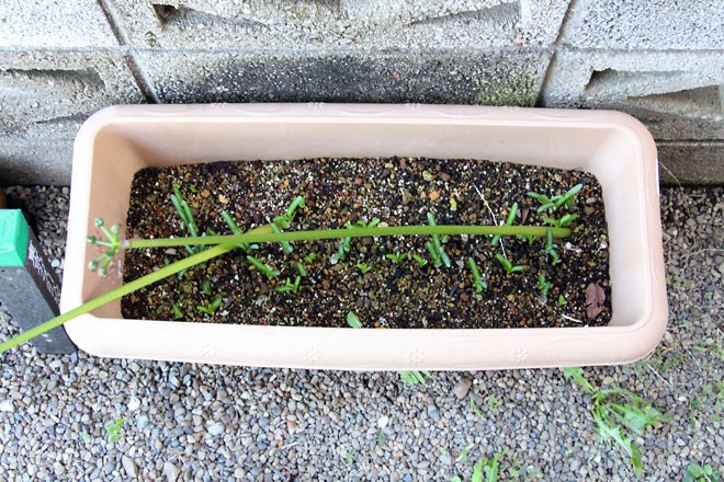 f:id:takahikonojima:20191019175559j:plain