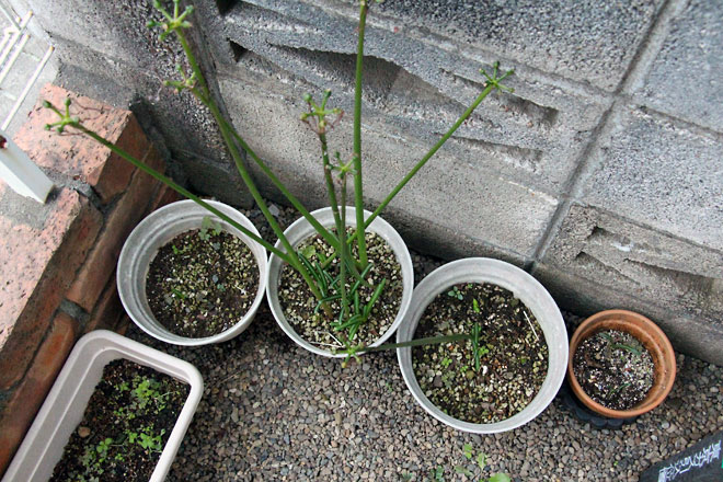 f:id:takahikonojima:20191019175606j:plain