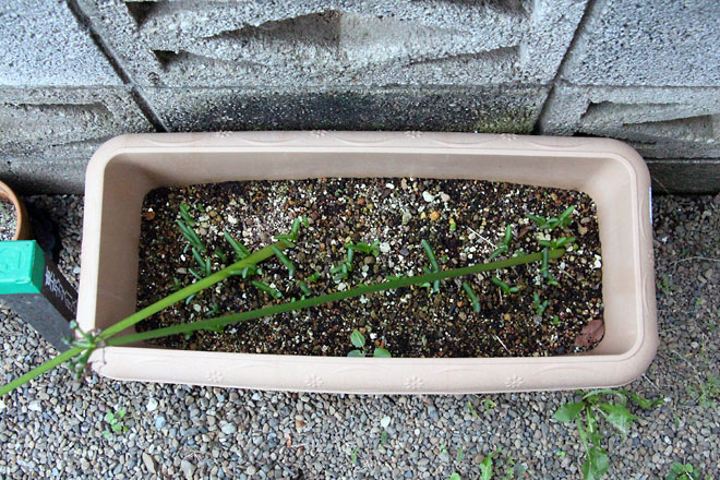 f:id:takahikonojima:20191019175613j:plain