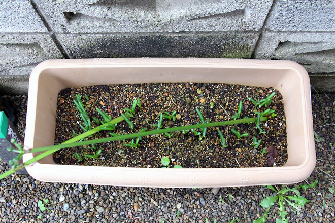 f:id:takahikonojima:20191019175624j:plain