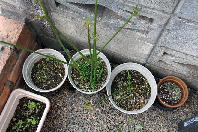 f:id:takahikonojima:20191019175631j:plain