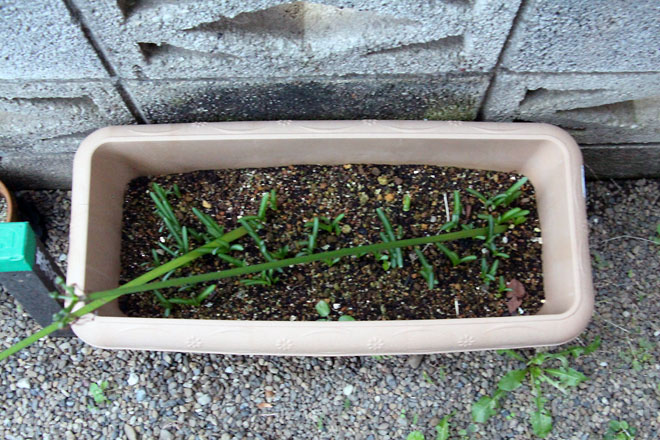 f:id:takahikonojima:20191019175638j:plain