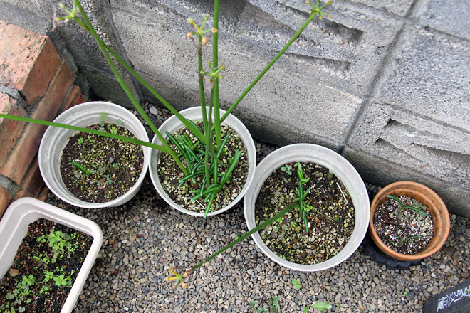 f:id:takahikonojima:20191019175643j:plain