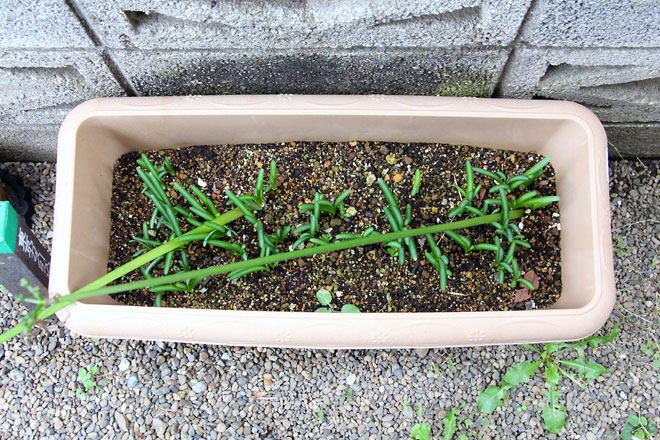 f:id:takahikonojima:20191019175649j:plain