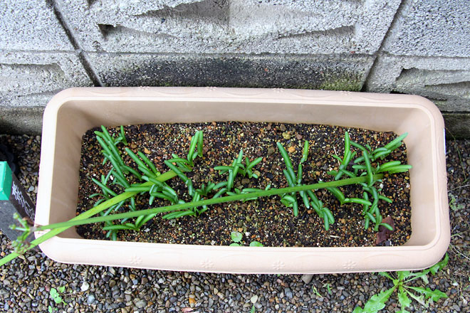 f:id:takahikonojima:20191019175701j:plain