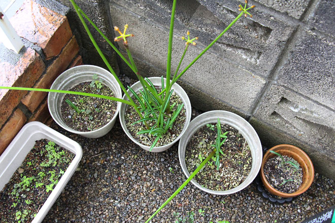 f:id:takahikonojima:20191019175708j:plain