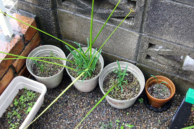 f:id:takahikonojima:20191026185910j:plain