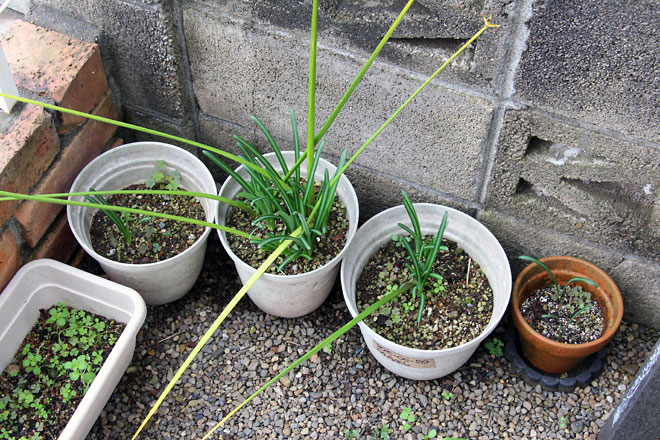 f:id:takahikonojima:20191026185931j:plain