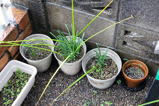 f:id:takahikonojima:20191026185943j:plain