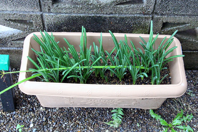 f:id:takahikonojima:20191026185949j:plain