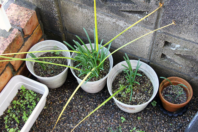 f:id:takahikonojima:20191026185954j:plain