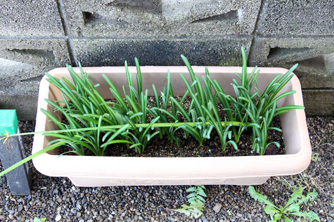 f:id:takahikonojima:20191026190013j:plain