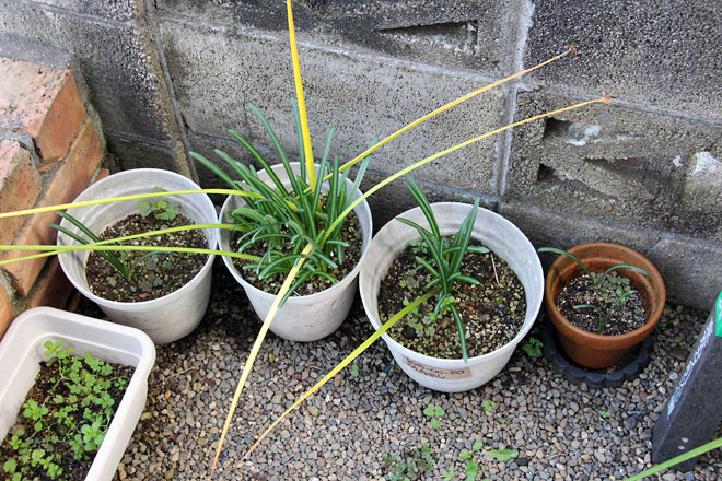 f:id:takahikonojima:20191103205657j:plain