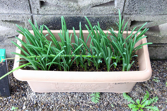 f:id:takahikonojima:20191103205730j:plain