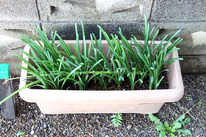 f:id:takahikonojima:20191103205742j:plain