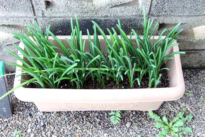 f:id:takahikonojima:20191103205752j:plain