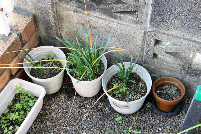 f:id:takahikonojima:20191103205800j:plain