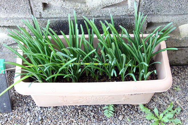 f:id:takahikonojima:20191103205813j:plain