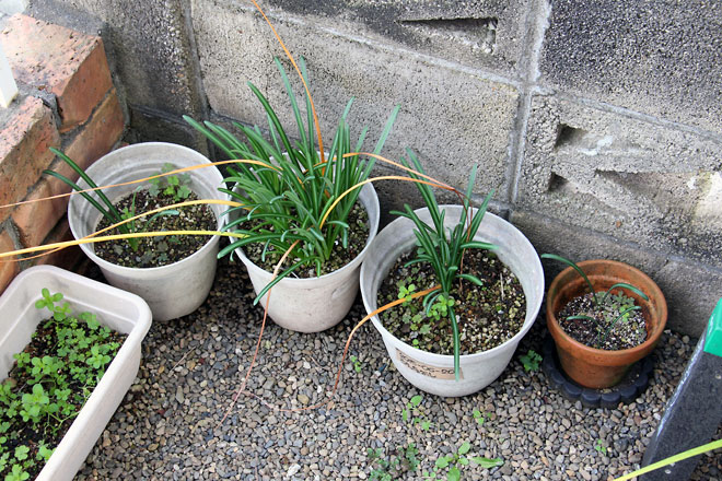 f:id:takahikonojima:20191103205821j:plain