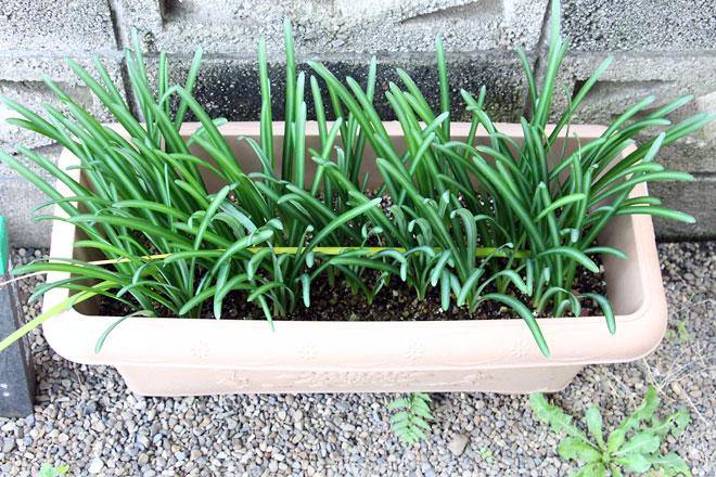 f:id:takahikonojima:20191103205829j:plain