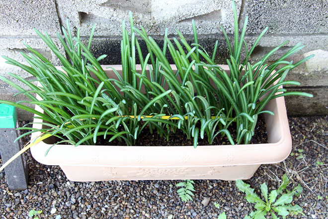 f:id:takahikonojima:20191109185240j:plain