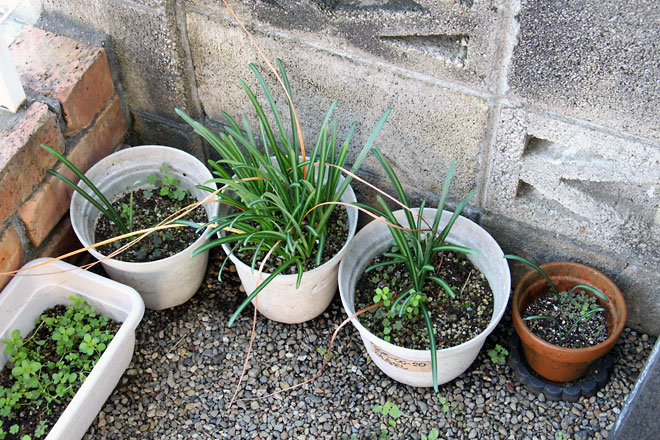 f:id:takahikonojima:20191109185245j:plain