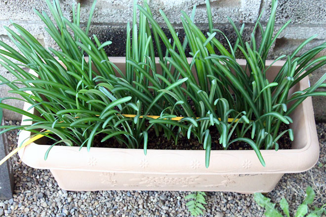 f:id:takahikonojima:20191109185302j:plain