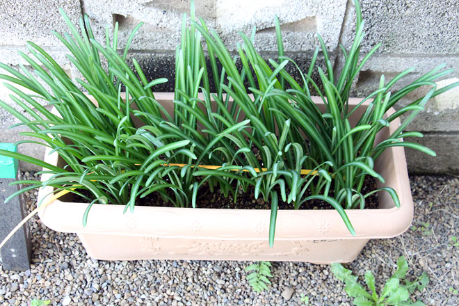 f:id:takahikonojima:20191109185314j:plain