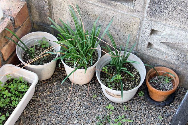 f:id:takahikonojima:20191109185321j:plain