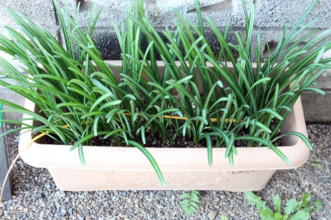 f:id:takahikonojima:20191109185330j:plain