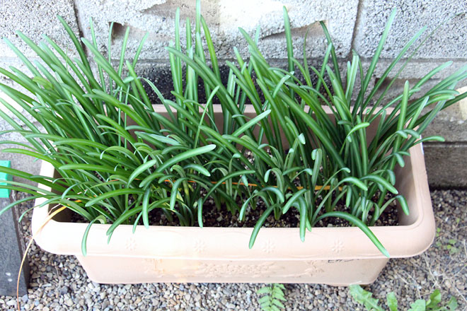 f:id:takahikonojima:20191109185344j:plain