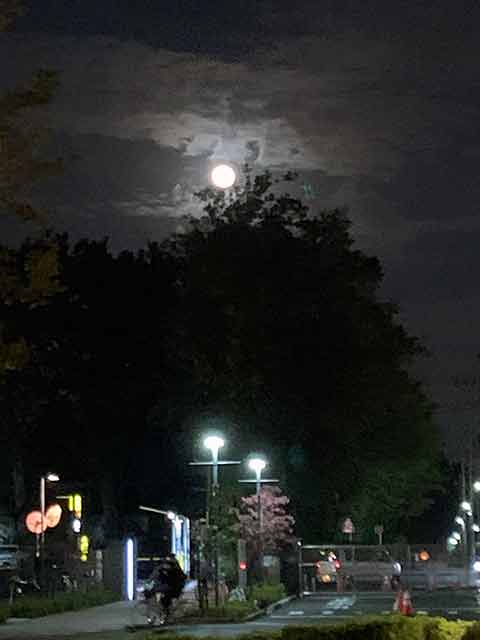 f:id:takahikonojima:20191118144005j:plain