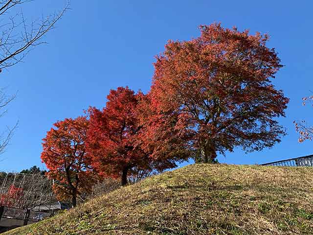 f:id:takahikonojima:20191119201707j:plain