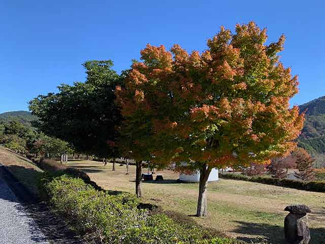 f:id:takahikonojima:20191119201716j:plain