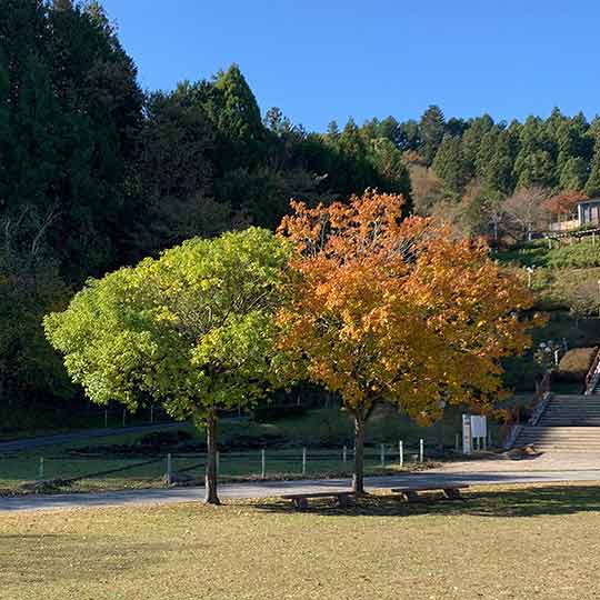 f:id:takahikonojima:20191119201729j:plain