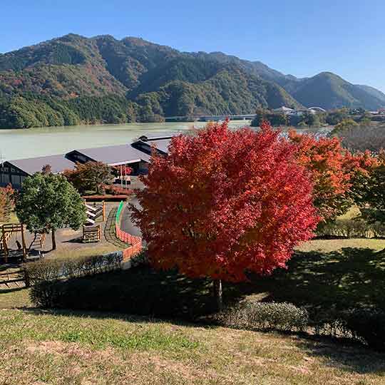 f:id:takahikonojima:20191119201735j:plain