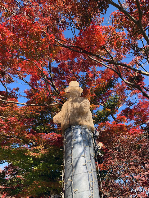 f:id:takahikonojima:20191119201810j:plain