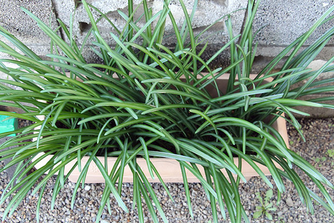 f:id:takahikonojima:20191212164425j:plain