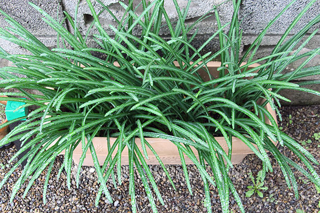 f:id:takahikonojima:20191212164434j:plain