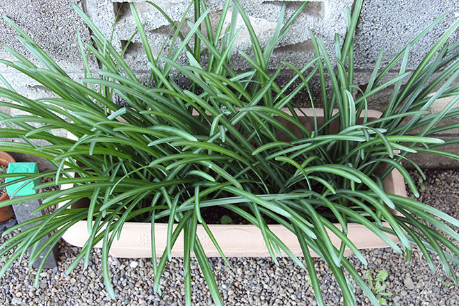 f:id:takahikonojima:20191212164445j:plain