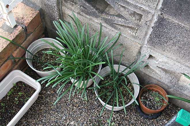 f:id:takahikonojima:20191212164450j:plain