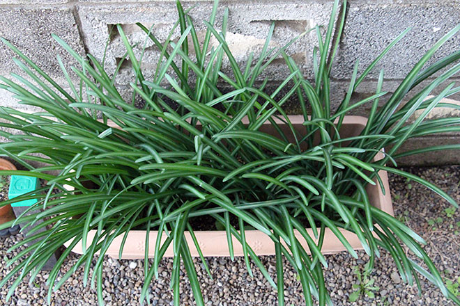 f:id:takahikonojima:20191212164456j:plain