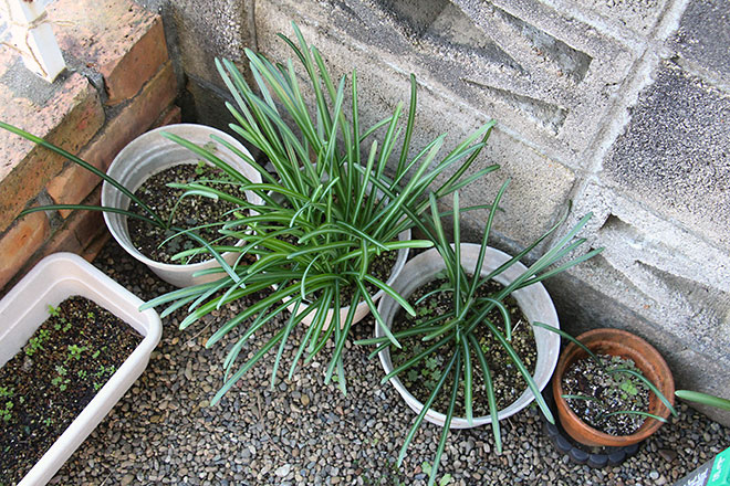 f:id:takahikonojima:20191212164501j:plain