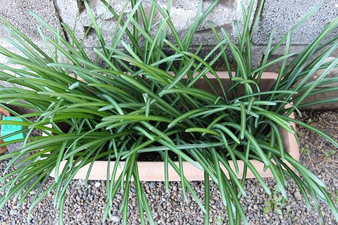 f:id:takahikonojima:20191212164507j:plain