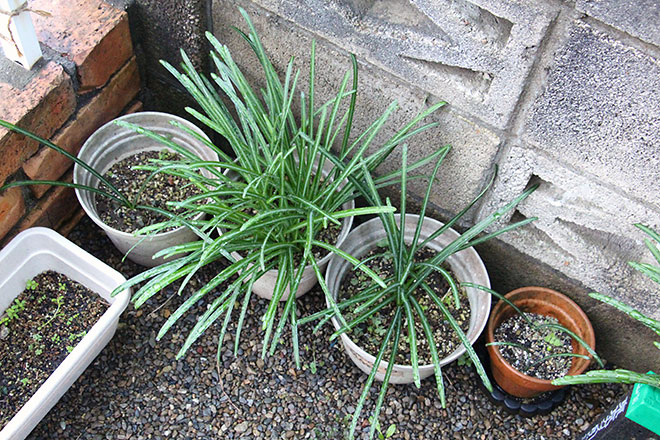 f:id:takahikonojima:20191214143827j:plain