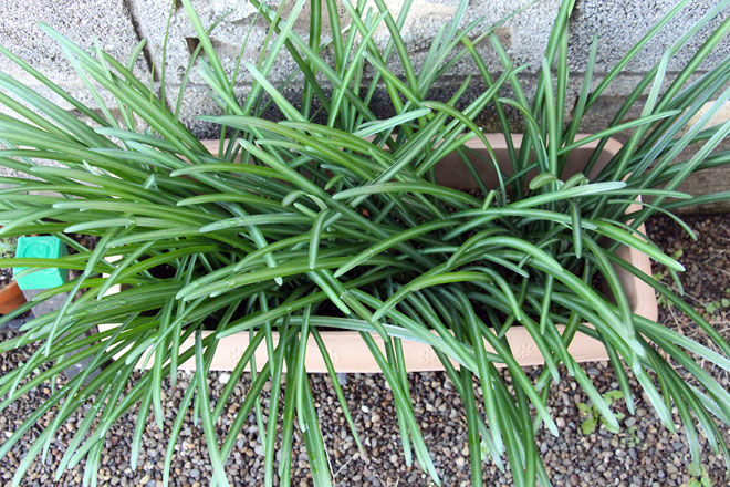 f:id:takahikonojima:20191214143853j:plain