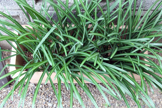 f:id:takahikonojima:20191214143918j:plain