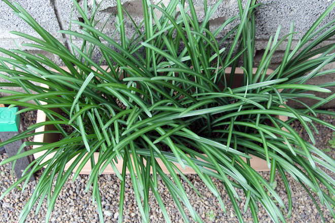 f:id:takahikonojima:20191221160227j:plain