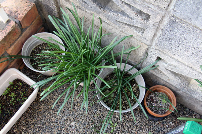 f:id:takahikonojima:20191221160235j:plain