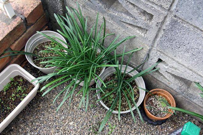 f:id:takahikonojima:20191221160310j:plain